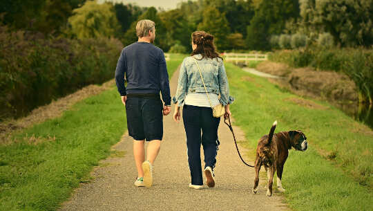 Making Peace with Our Relationship Status couple, seen fromthe back, walking dog